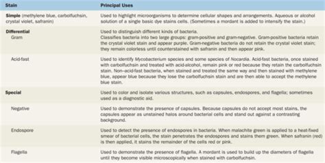 Microbiology Midterm Study Guide Chapters 1 7 Flashcards Quizlet