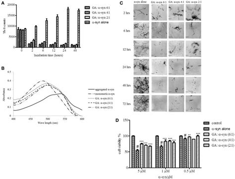 Ga Disaggregates Preformed α Syn Fibrils In A Concentration Dependent