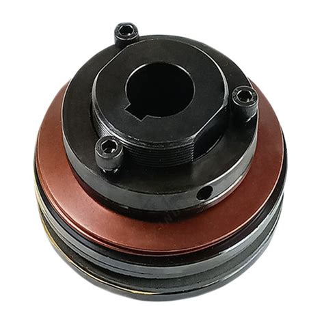 Friction Type Torque Limiter Coupling