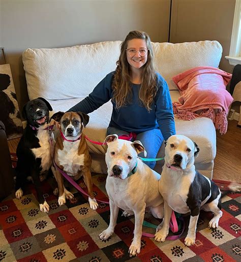 zoo animal hospital 4