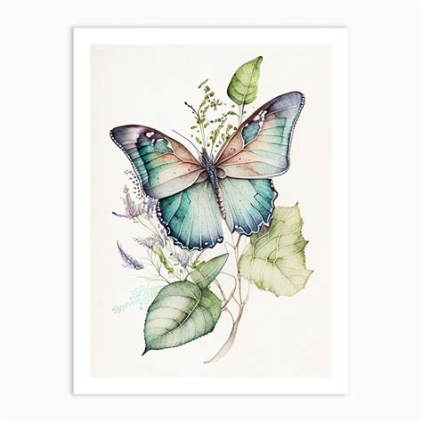 Butterfly Outline Watercolour Ink 2 Art Print By Papillon Prints Fy