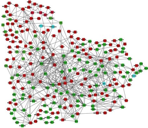 Protein Protein Interaction Network For Degs Red Nodes Represent