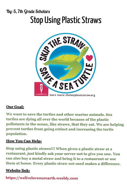 Skip The Straw Save A Sea Turtle Fairhaven Neighborhood News