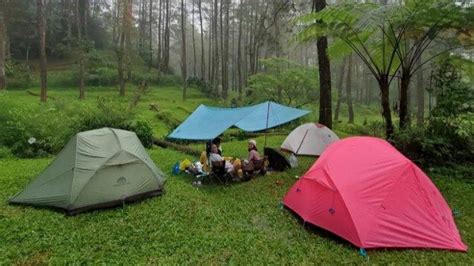 Nikmati Alam Sambil Camping Di Lembah Pasir Sumbul Tempat Wisata