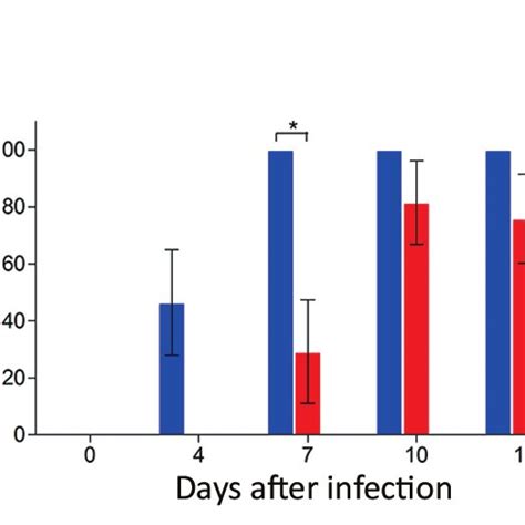 Vector Competence Of Zika Virus In Aedes Aegypti Ae Albopictus And