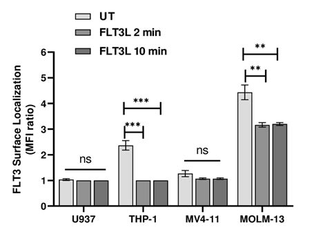 7 Flt3l Reduces Cell Surface Levels Of Flt3 A B U937 Thp 1 Mv4 11