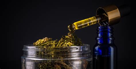 Learn How To Extract Cbd And The Many Extraction Methods