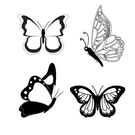 Butterfly Set Graphic Black White Isolated Sketch Illustration Vector