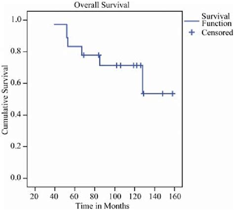 Kaplan Meier Plot Of Overall Survival Download Scientific Diagram