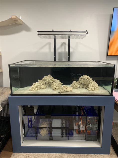 Update On The G Shallow Tank R Reeftank