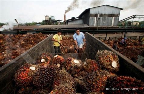 Eagle High Plantation Bwpt Ekpansi Pabrik Providen Agro Palm Pilih