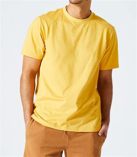 Unisex Plain Cotton Round Neck T Shirts Bio Wash 180 GSM At Rs 190