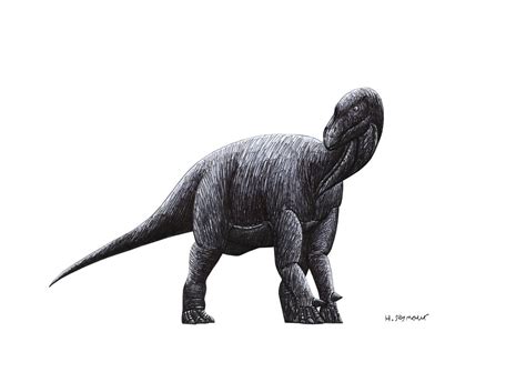 Iguanodon Pen Drawing 2023 By Hamish1512201 On Deviantart