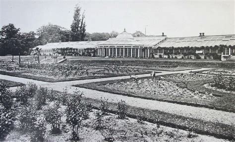 Chiswick House Conservatory: Then and Now – Chiswick House & Gardens