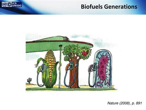 PPT Next Generation Biofuels ICS UNIDO Programme PowerPoint