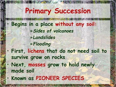 Ppt Changes In Ecosystems Ecological Succession Powerpoint