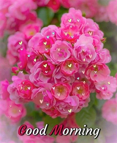 A Bunch Of Pink Flowers With The Words Good Morning