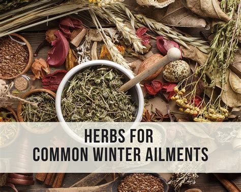 Herbs For Common Ailments Jersey Community Acupuncture