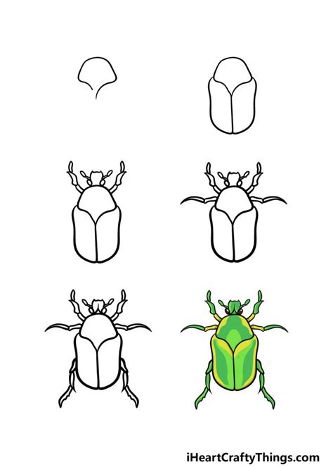 How To Draw A Bug A Step By Step Guide Bugs Drawing Beetle Drawing Bug Art