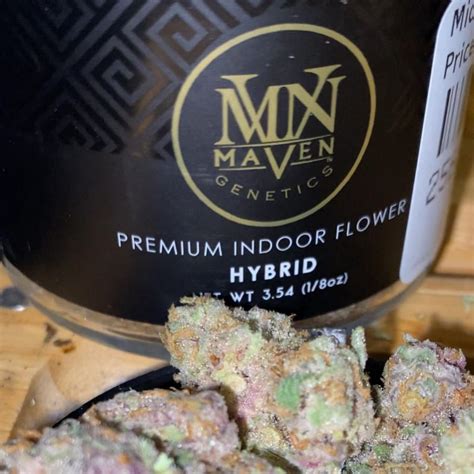 Strain Review Midnight Snack By Maven Genetics The Highest Critic