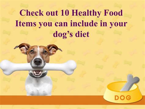 Best food diet plan for your dog | PPT