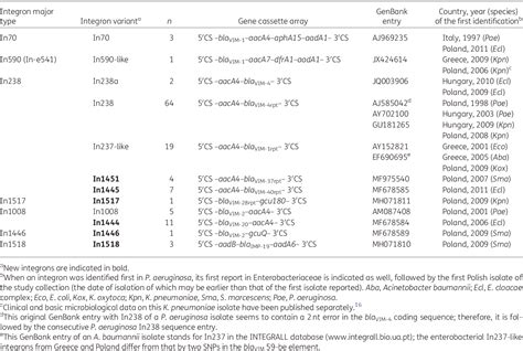 Table 2 From Vimimp Carbapenemase Producing Enterobacteriaceae In