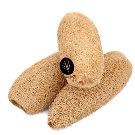 Natural Loofah At Rs 10piece Loofah Sponge Id 22896953288