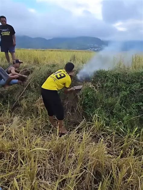 Potret Aksi Betrand Peto Berburu Tikus Di Kampung Pegang Segepok