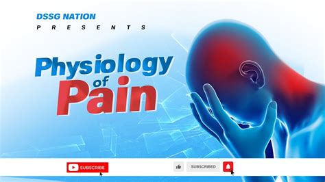 Physiology Of Pain The Ascending Pathway Descending Pain Pathway And