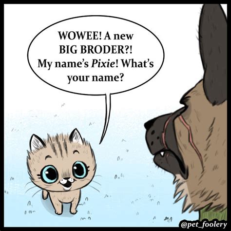 These Hilariously Adorable Comics About Brutus And Pixie Will Instantly