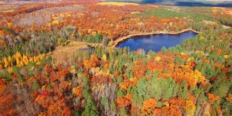 Peak Times for Fall Color Across Michigan