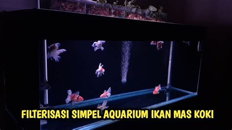 Filter Sederhana Buat Air Aquarium Ikan Mas Koki Crystal Clear Youtube