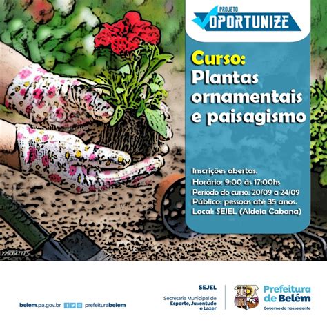 Sejel Abre Inscri Es Para Curso De Plantas Ornamentais E Paisagismo