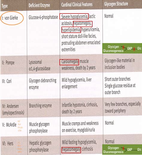 Glycogen Storage Disease Mnemonic Dandk Organizer