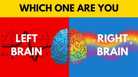 Which Half Of Your Brain Do You Use More Left Brained Vs Right