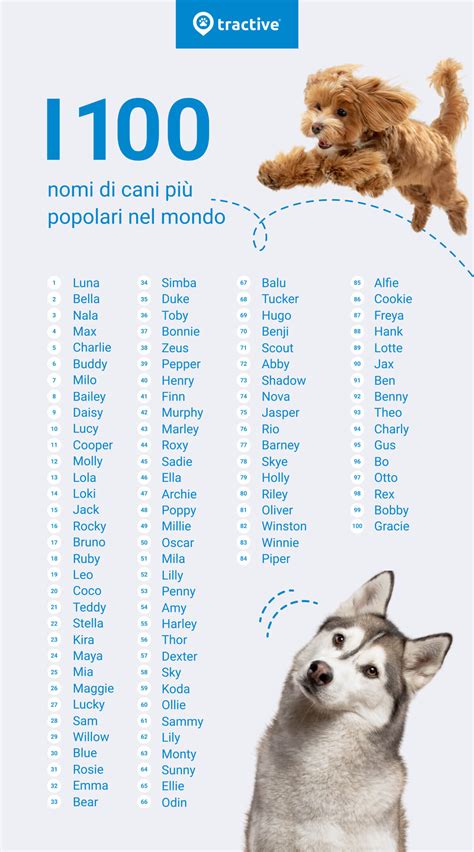 I nomi di cani più popolari in Italia e nel mondo Tractive