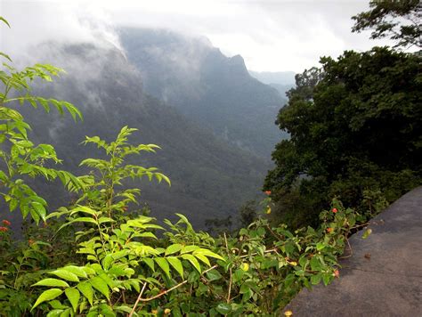 Devikulam Hill Station in Kerala | Place For Vacations