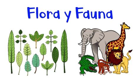 Flora Y Fauna Ejemplos Importancia Y Conservación TeleFlor