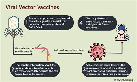 viral-vector-vaccines – Decipher Drugs