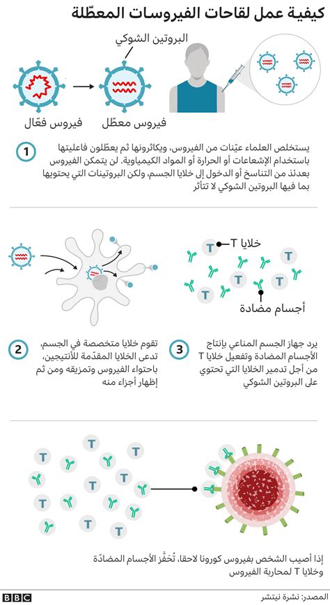 لقاح فيروس كورونا ما مدى فعالية لقاحي سينوفاك وسينوفارم الصينيين