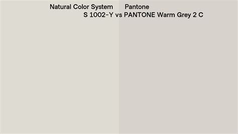 Natural Color System S 1002 Y Vs Pantone Warm Grey 2 C Side By Side