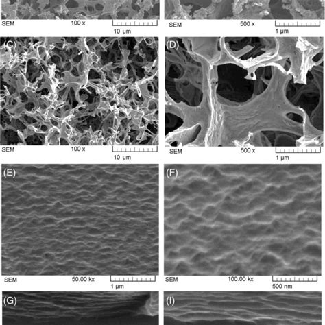 SEM Images Of Collagen A B Silk Fibroin C D Bioactive Glass E