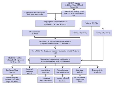 The Flowchart Of Our Study The Flowchart Depicts The Identification