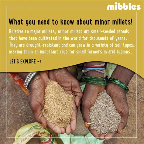 minor millets mibbles