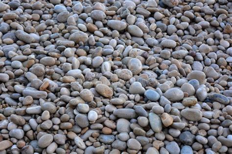 Molhado Cinza Seixos Na Praia Imagem De Stock Imagem De Diferente