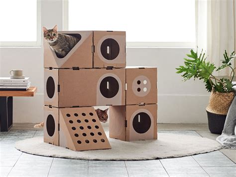 Descubrir Imagen Casas De Gatos Con Cajas De Carton Abzlocal Mx