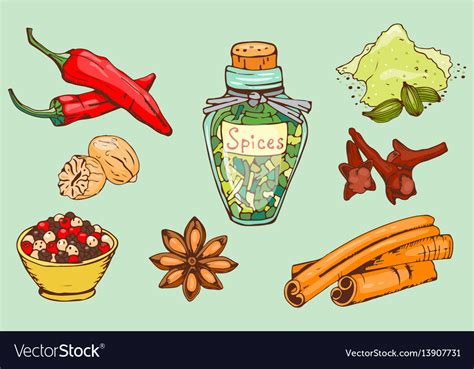 Spices Seasoning Hand Drawn Style Food Herbs Vector Image