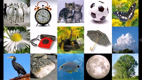 Занимаемся вместе. Что такое природный мир и рукотворный мир? Видео ...