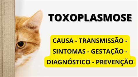 TOXOPLASMOSE SINTOMAS I TRANSMISSÃO I GESTANTES I DIAGNÓSTICO I