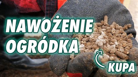 Nawożenie ogródka szklarni malin późną zimą YouTube